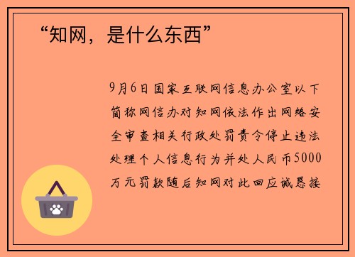 ​“知网，是什么东西”