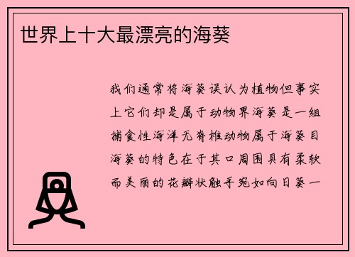 世界上十大最漂亮的海葵