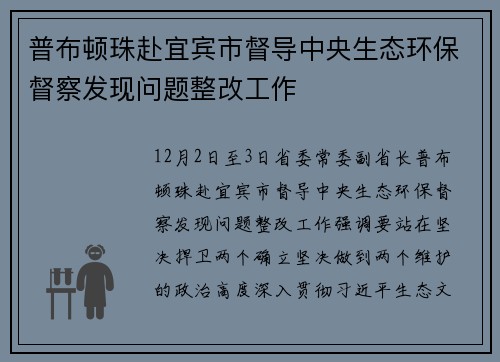 普布顿珠赴宜宾市督导中央生态环保督察发现问题整改工作