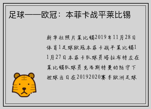 足球——欧冠：本菲卡战平莱比锡