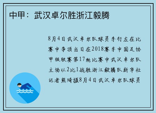 中甲：武汉卓尔胜浙江毅腾